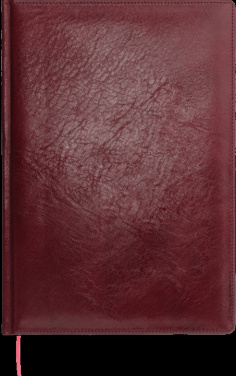 Logotrade firmakingituse foto: Kalendermärkmik 645131