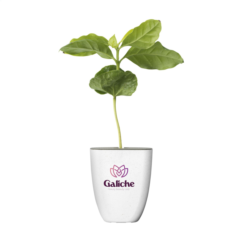 Logo trade reklaamkingituse pilt: Treemore Letterbox Trees Kohv