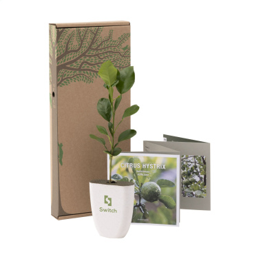 Logotrade meene foto: Treemore Letterbox Trees Kaffir Lemon
