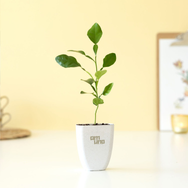 Logotrade reklaamkingid pilt: Treemore Letterbox Trees Kaffir Lemon