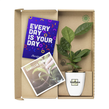 Logo trade meene pilt: Treemore Letterbox Trees Teetaim