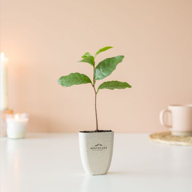 Logotrade liikelahjat mainoslahjat tuotekuva: Treemore Letterbox Trees Teekasvi