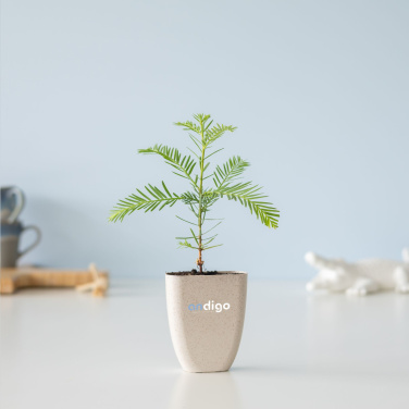 Logo trade liikelahjat tuotekuva: Treemore Letterbox Trees Giant Sequoia