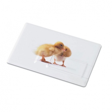 Logotrade reklaminiai produktai nuotrauka: Kreditinė kortelė. USB blykstė 32GB