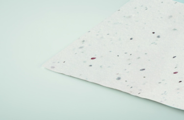 Логотрейд бизнес-подарки картинка: Wildflower seed business card.