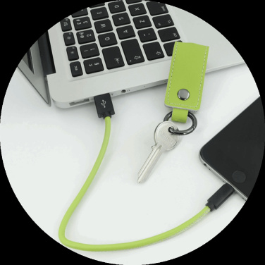 Logotrade kampanjprodukter bild: Nyckelring 59612900